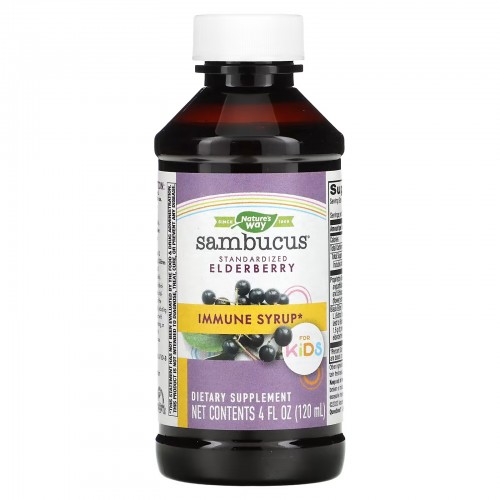 Nature's Way, Sambucus для детей, стандартизированный экстракт бузины, сироп для укрепления иммунитета, 120 мл (4 жидк. унции)
